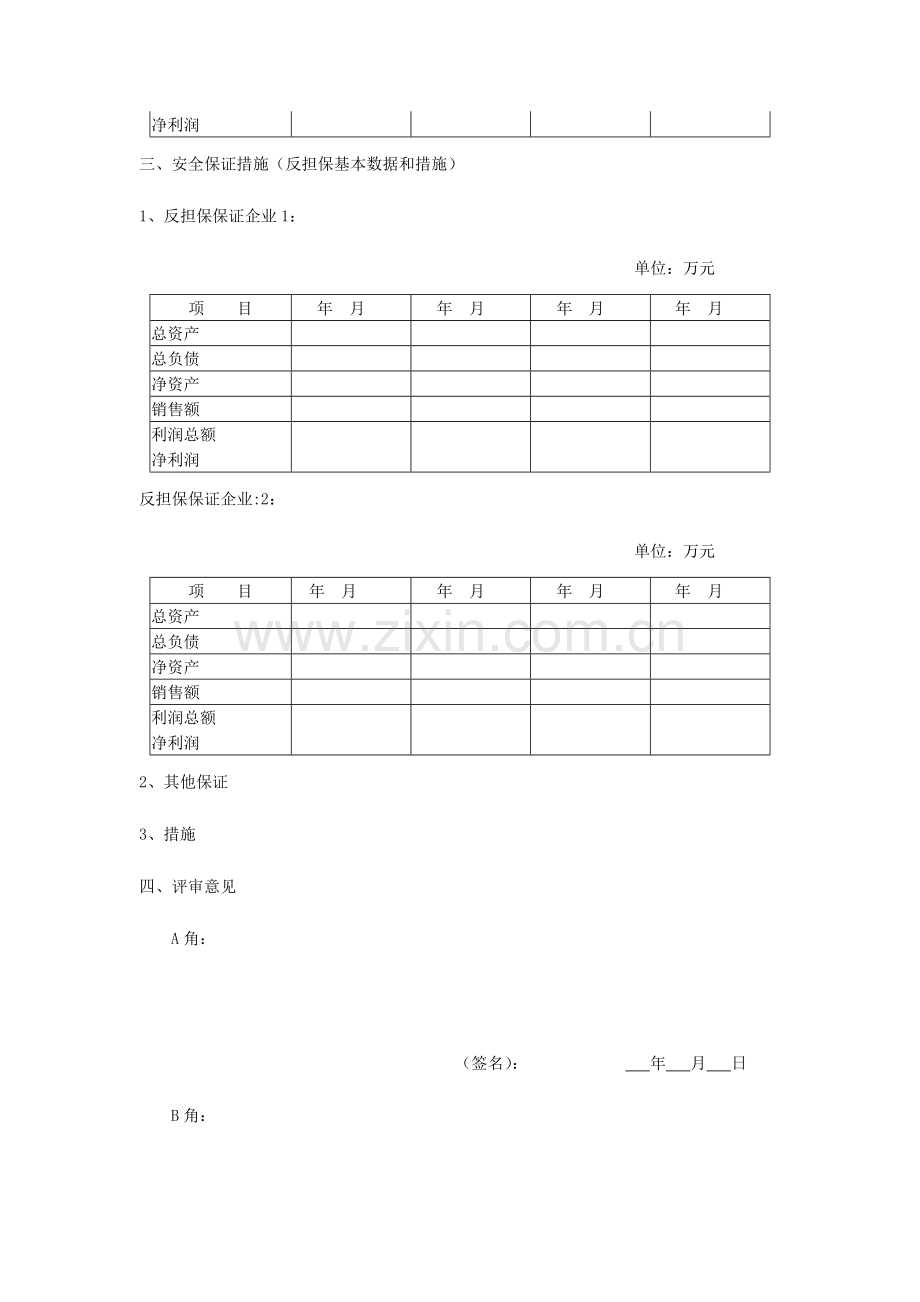 融资性担保公司项目初审报告.docx_第3页