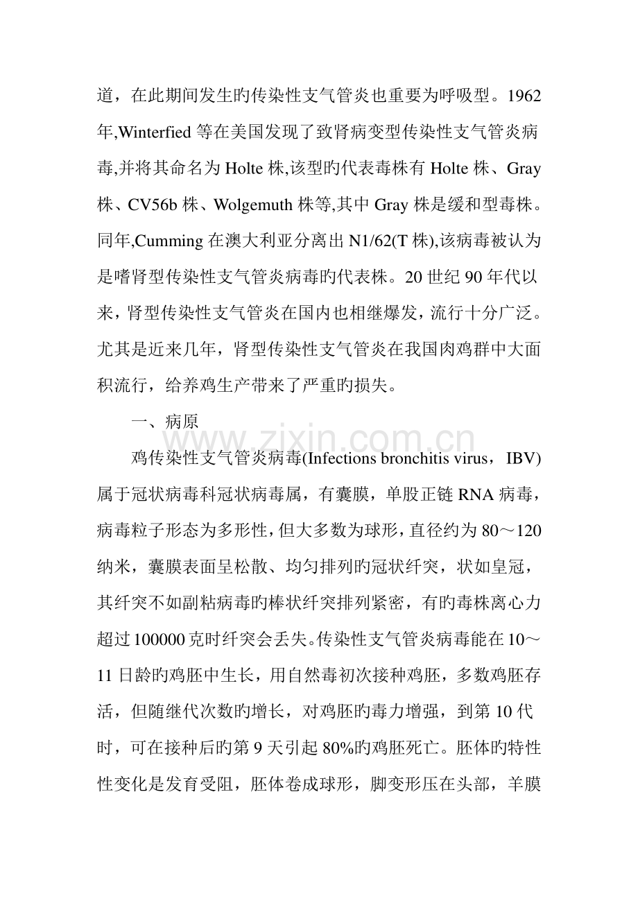 鸡肾型传染性支气管炎的防治措施.doc_第2页