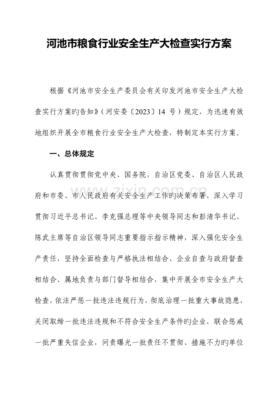 河池粮食行业安全生产大检查实施方案.doc_第1页