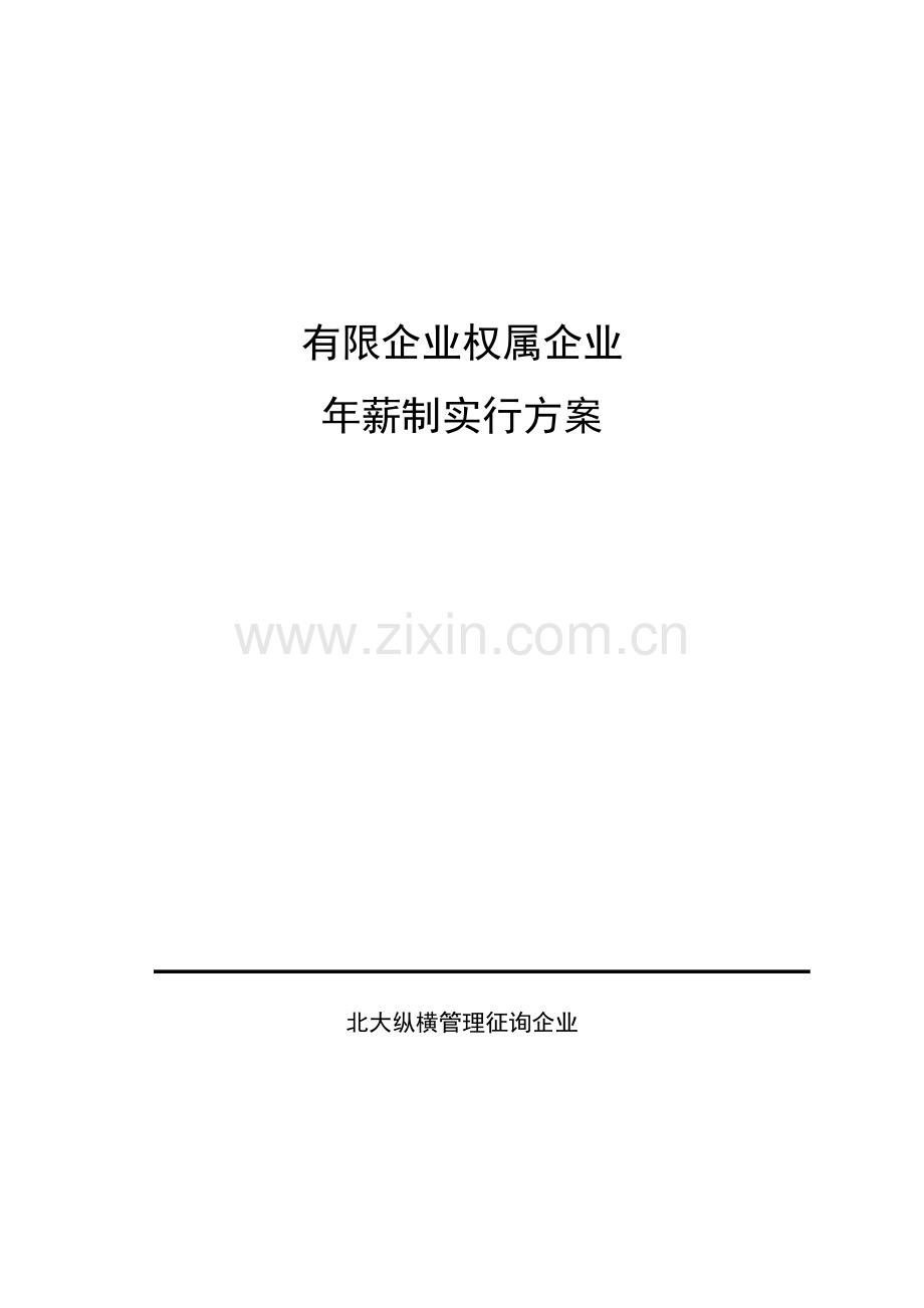 集团公司年薪制方案要点.doc_第1页