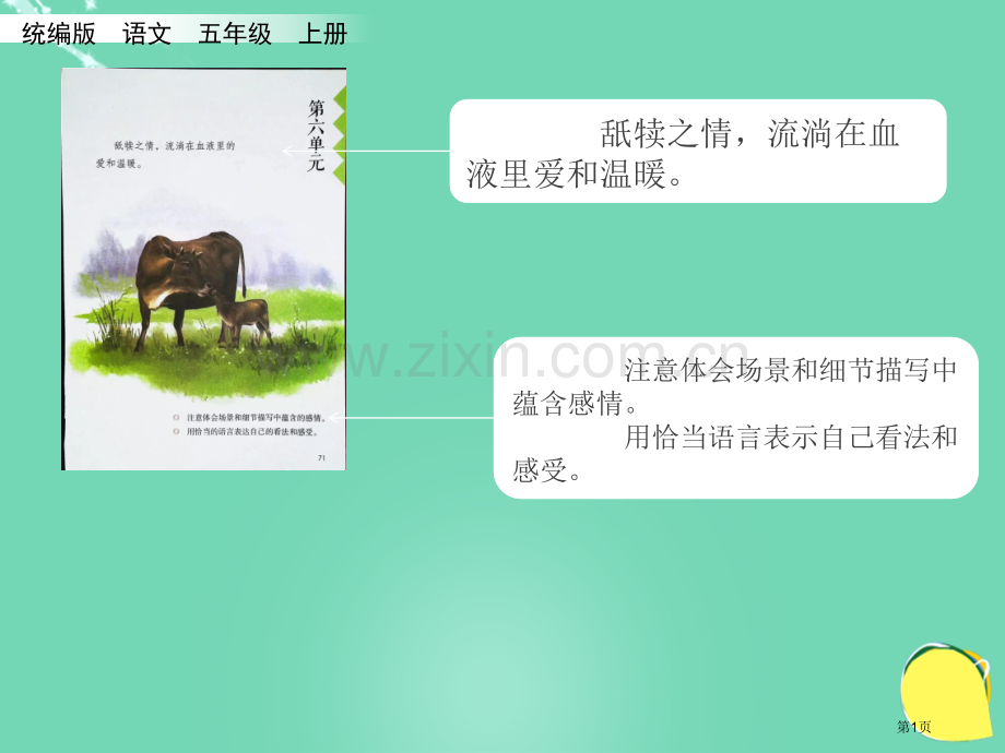 慈母情深课件市名师优质课比赛一等奖市公开课获奖课件.pptx_第1页