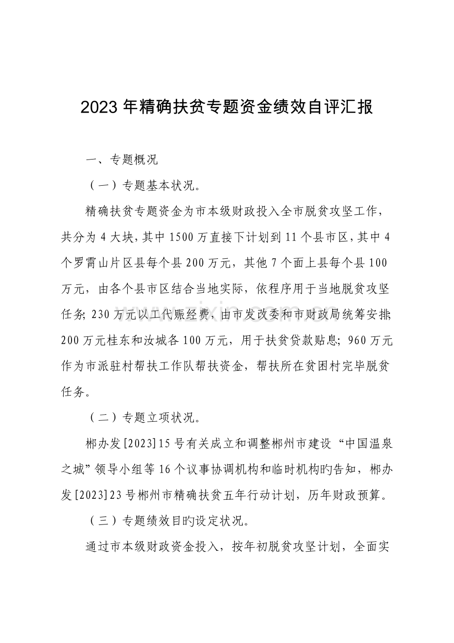 精准扶贫专项资金绩效自评报告.doc_第1页