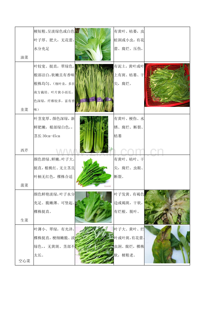 蔬菜验收标准.doc_第3页