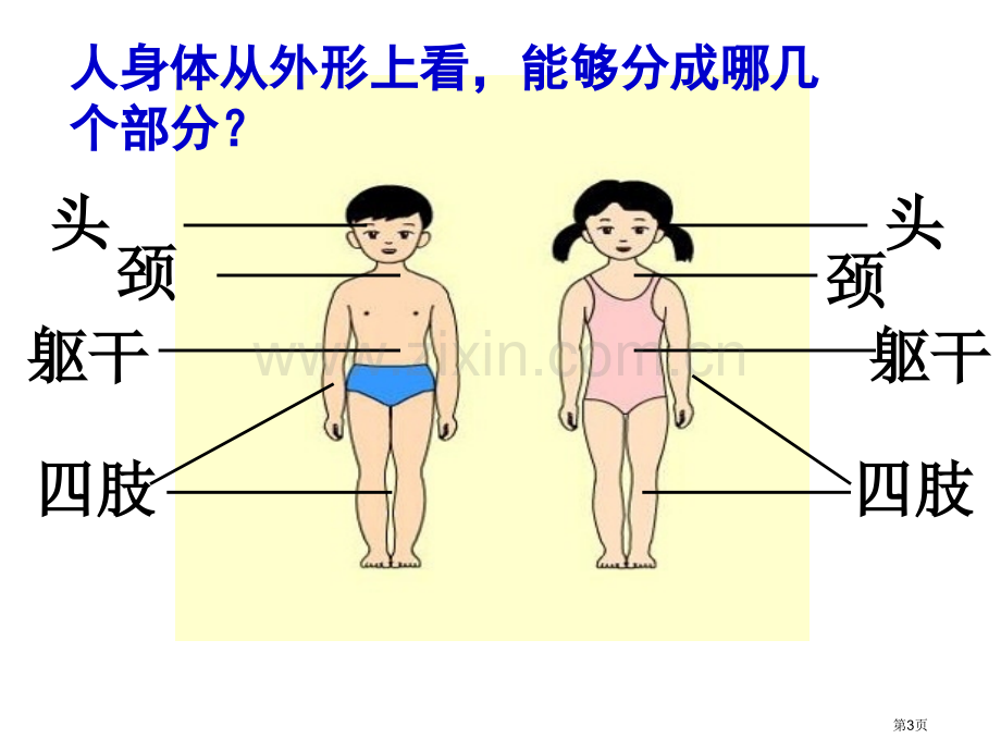 我们的身体鄂教版五年级科学上册市名师优质课比赛一等奖市公开课获奖课件.pptx_第3页