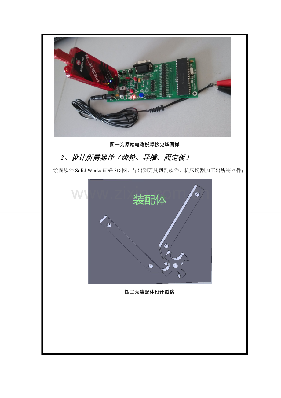 2023年开放性实验实验报告.docx_第3页