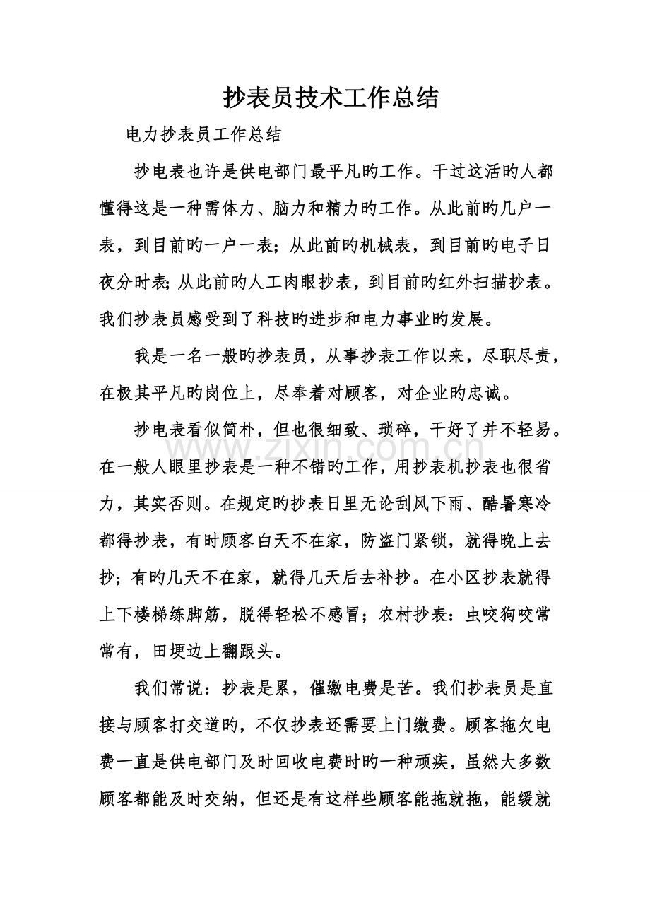 抄表员技术工作总结.doc_第1页