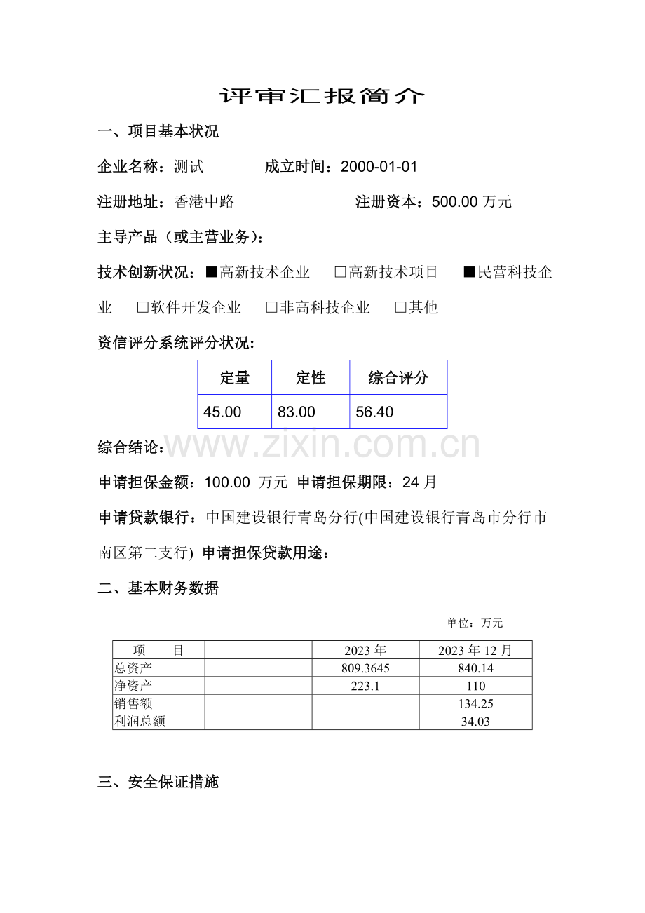 担保公司项目评审报告模板.doc_第3页