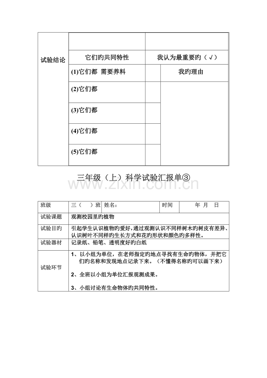 2023年苏教版三年级上册实验报告单.doc_第3页