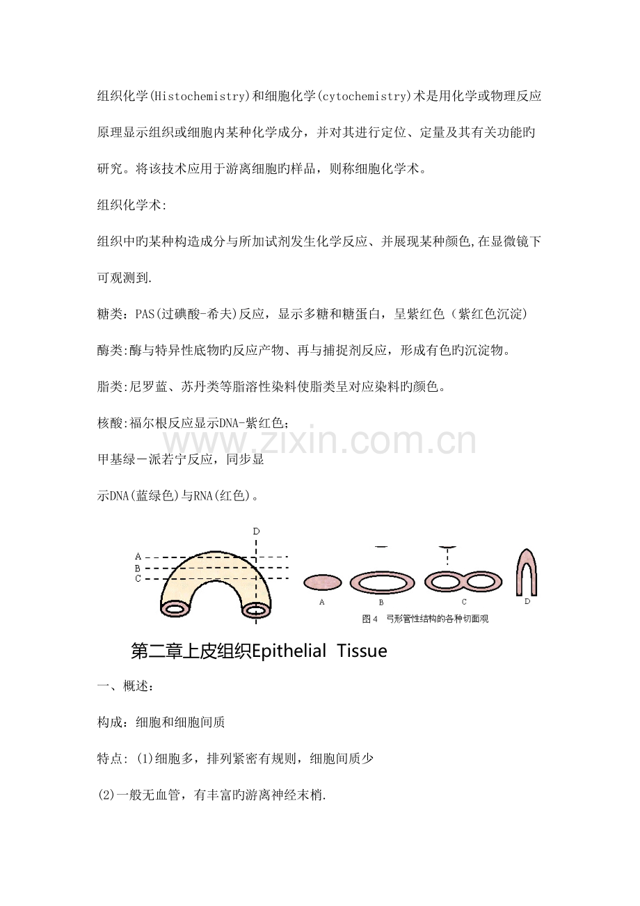 2023年组培啊知识点.doc_第3页