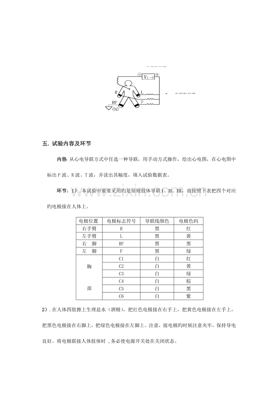 2023年心电图实验报告.doc_第3页