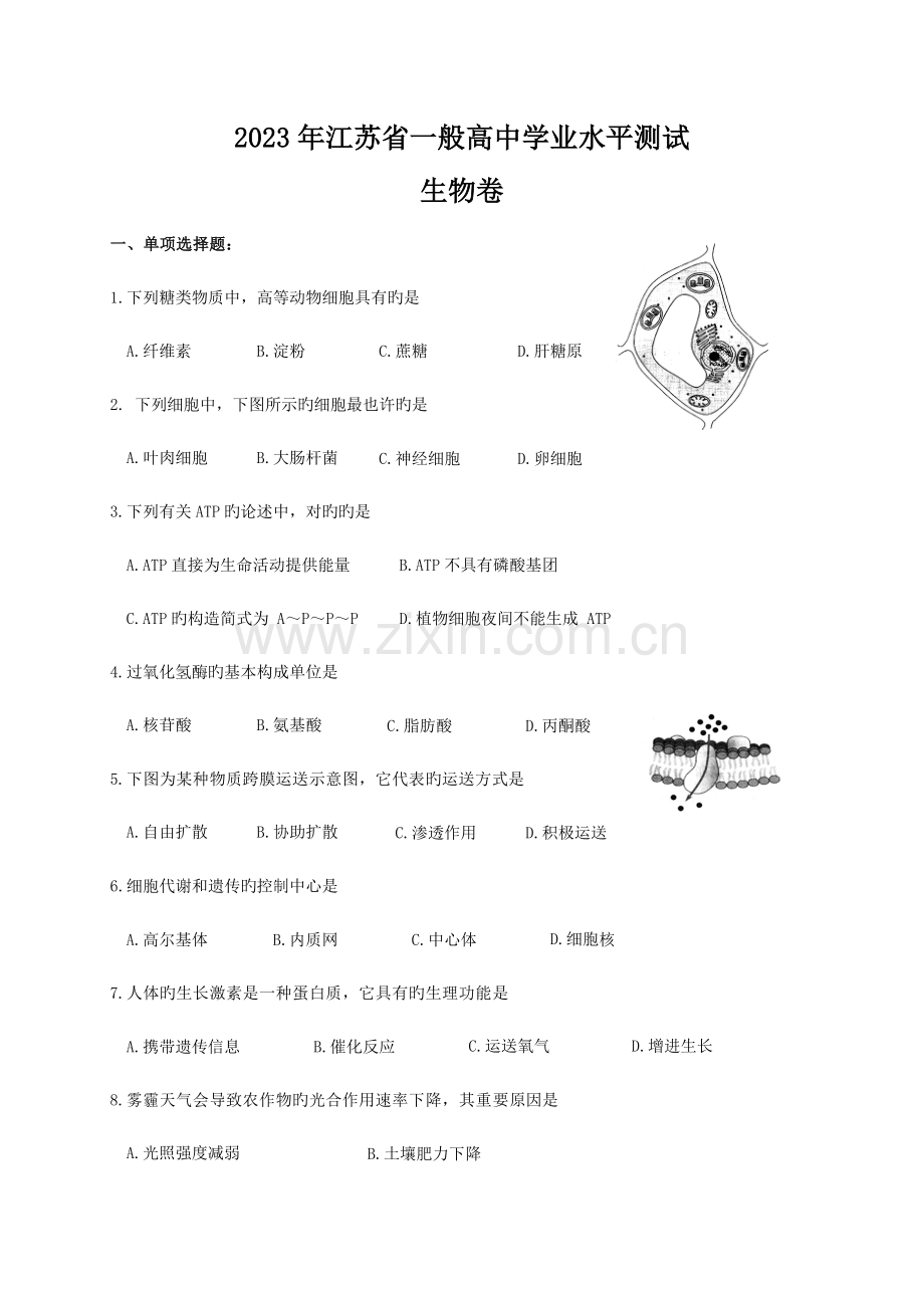 2023年年江苏省生物学业水平测试汇总.doc_第1页