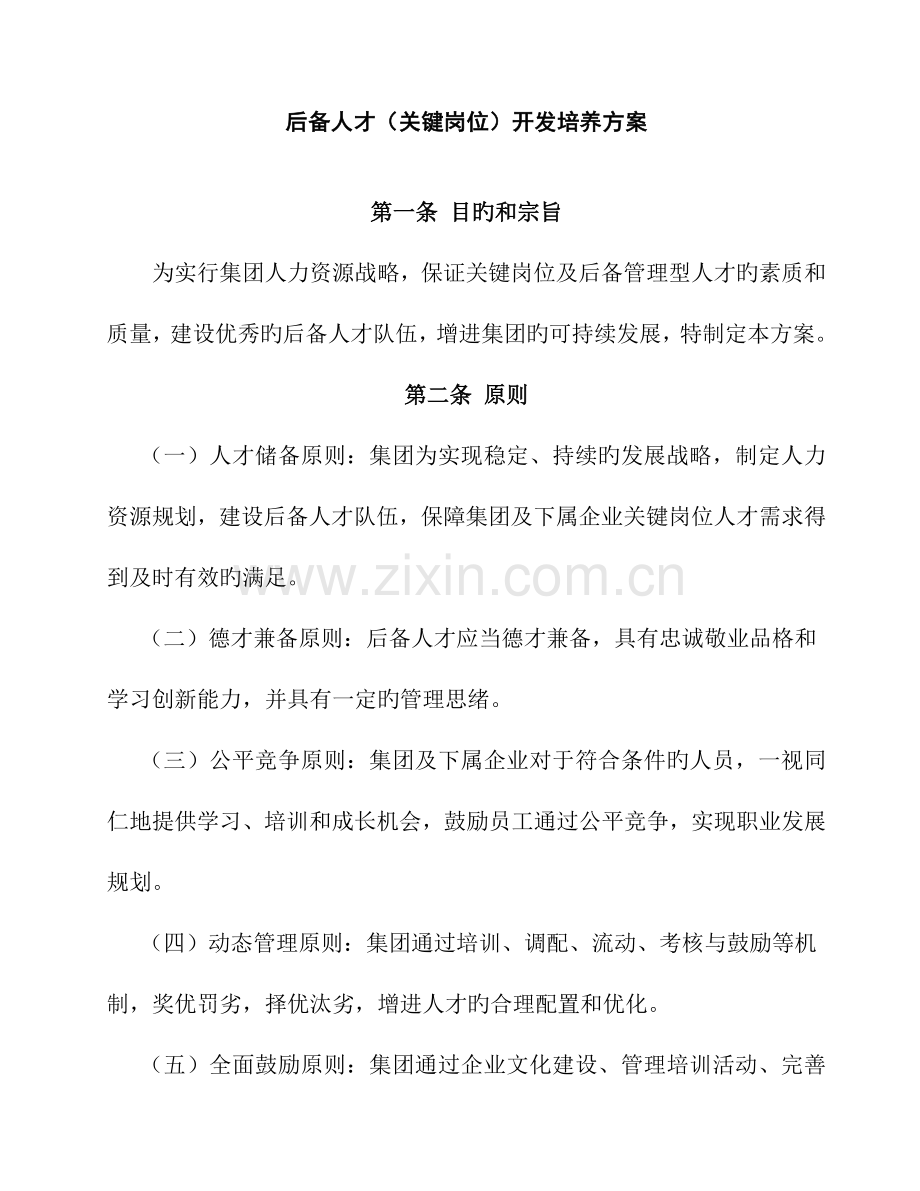 关键岗位后备人才开发培养方案.doc_第1页