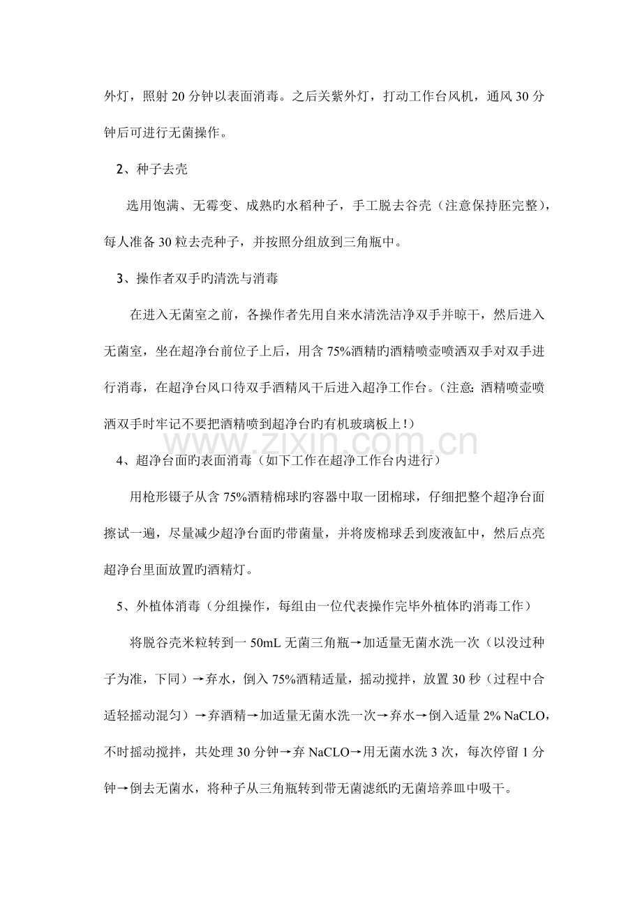 2023年水稻愈伤组织的诱导实验报告.doc_第2页