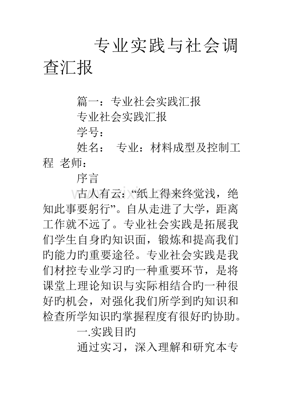 专业实践与社会调查报告.doc_第1页