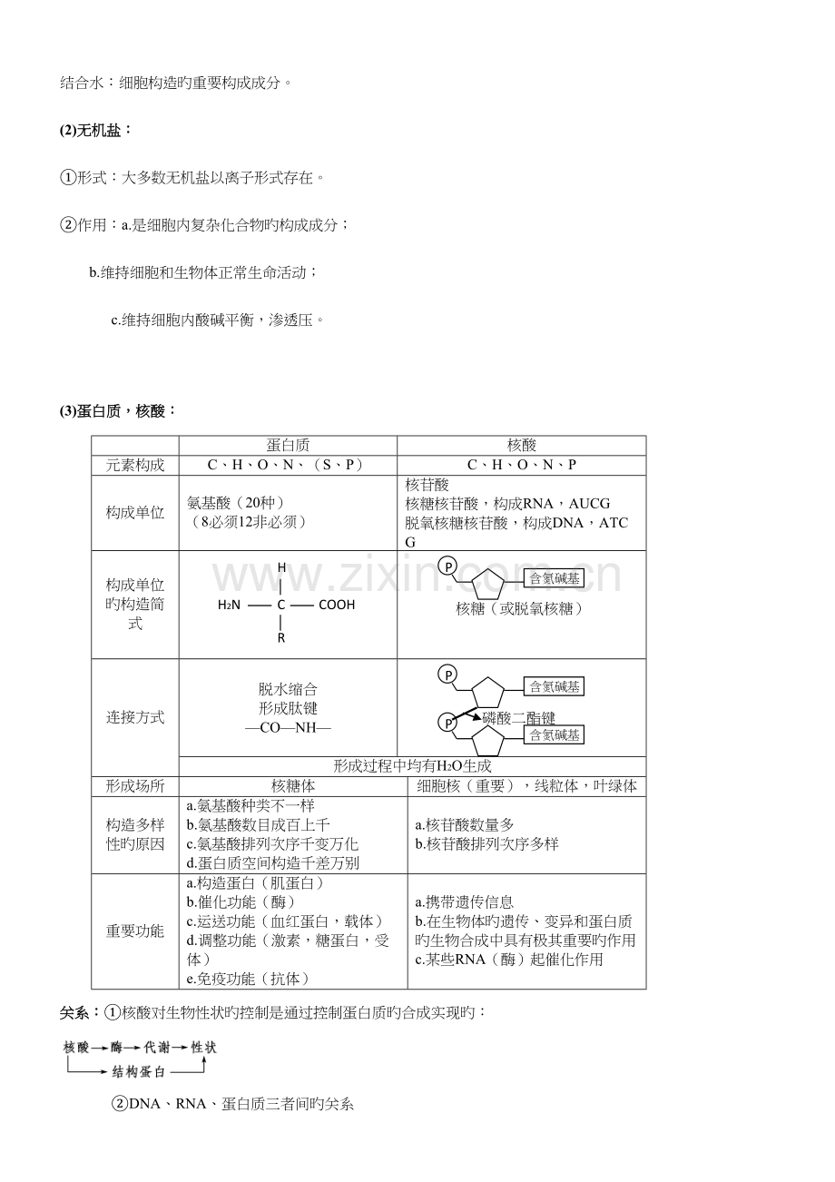 2023年生物二轮复习知识点总结专题一.docx_第2页