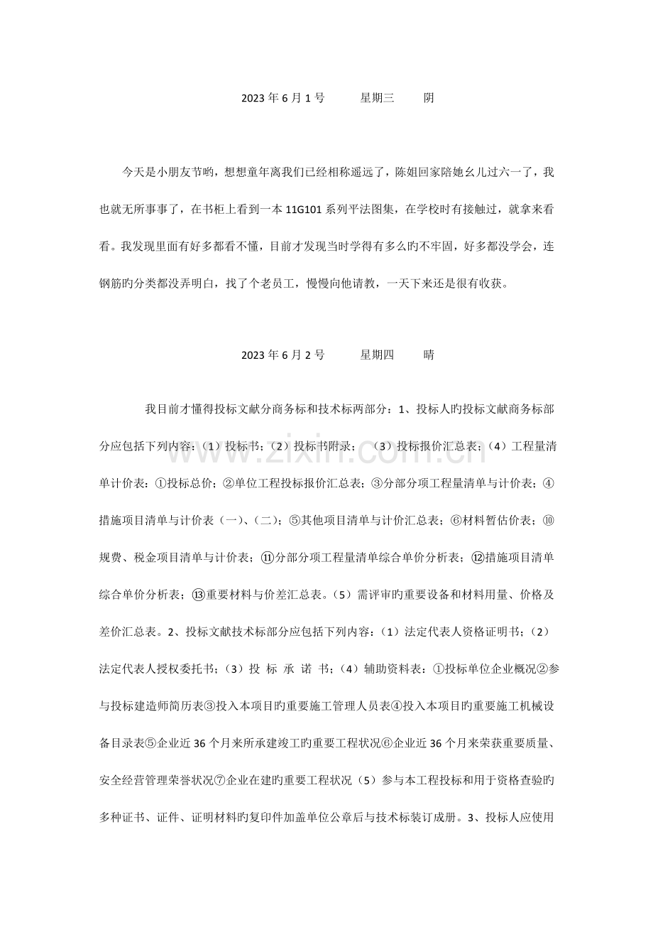 投标员实习日记篇.doc_第2页