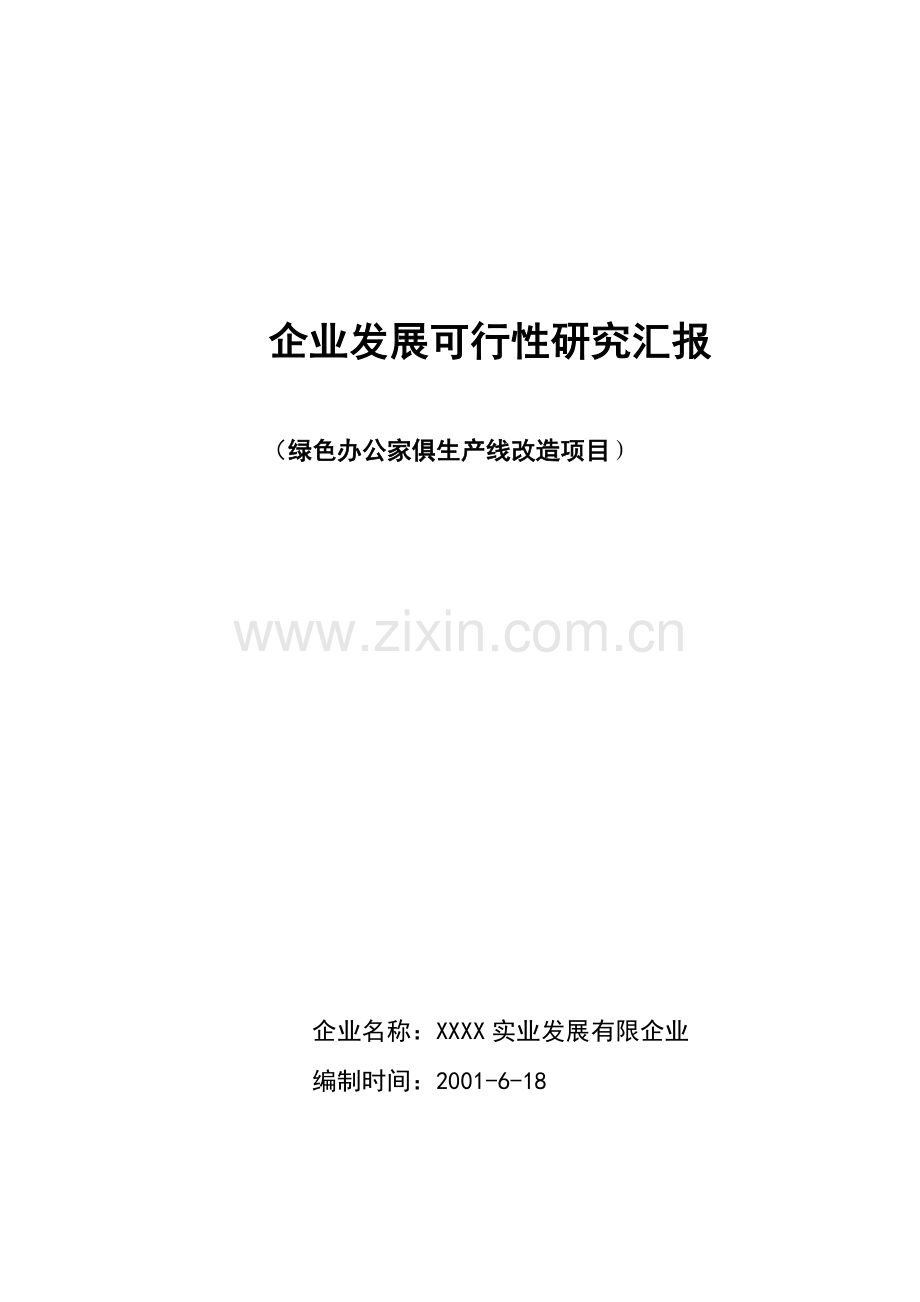 有限公司企业发展可行性研究报告.doc_第1页