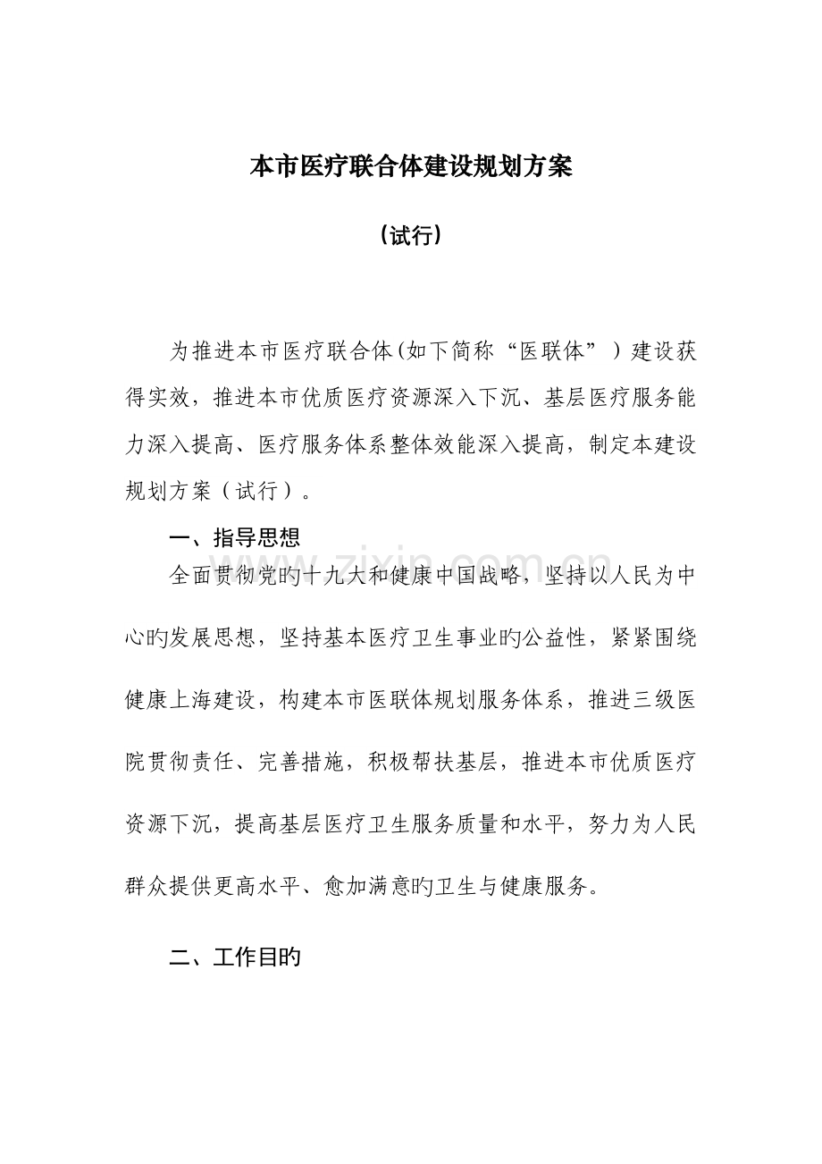 本医疗联合体建设规划方案.doc_第1页