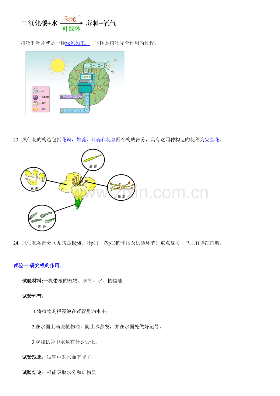 2023年教科版小学三年级下册科学每个单元知识点整理.doc_第3页