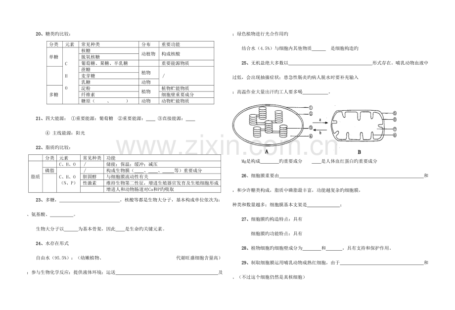 2023年生物第一轮复习知识点填空.doc_第3页