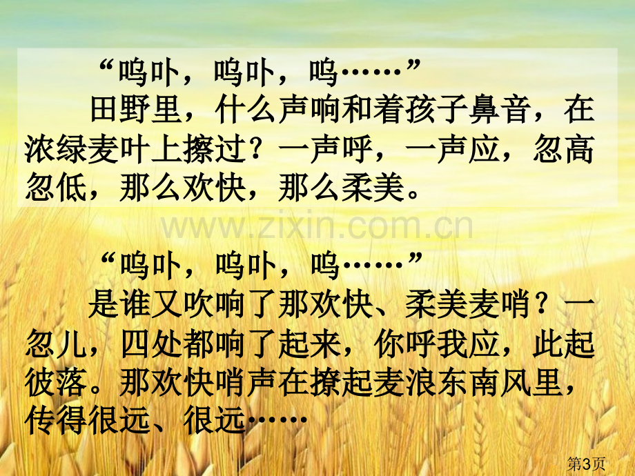 四年级语文下册课麦哨主题讲座省名师优质课获奖课件市赛课一等奖课件.ppt_第3页