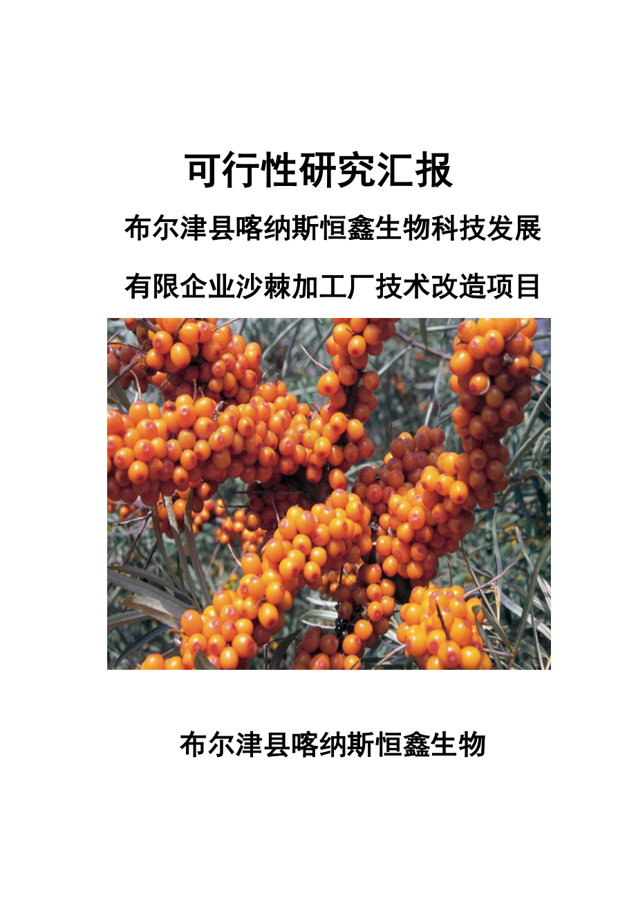 彩恒鑫生物沙棘加工厂技术改造项目可行性研究报告.docx_第1页