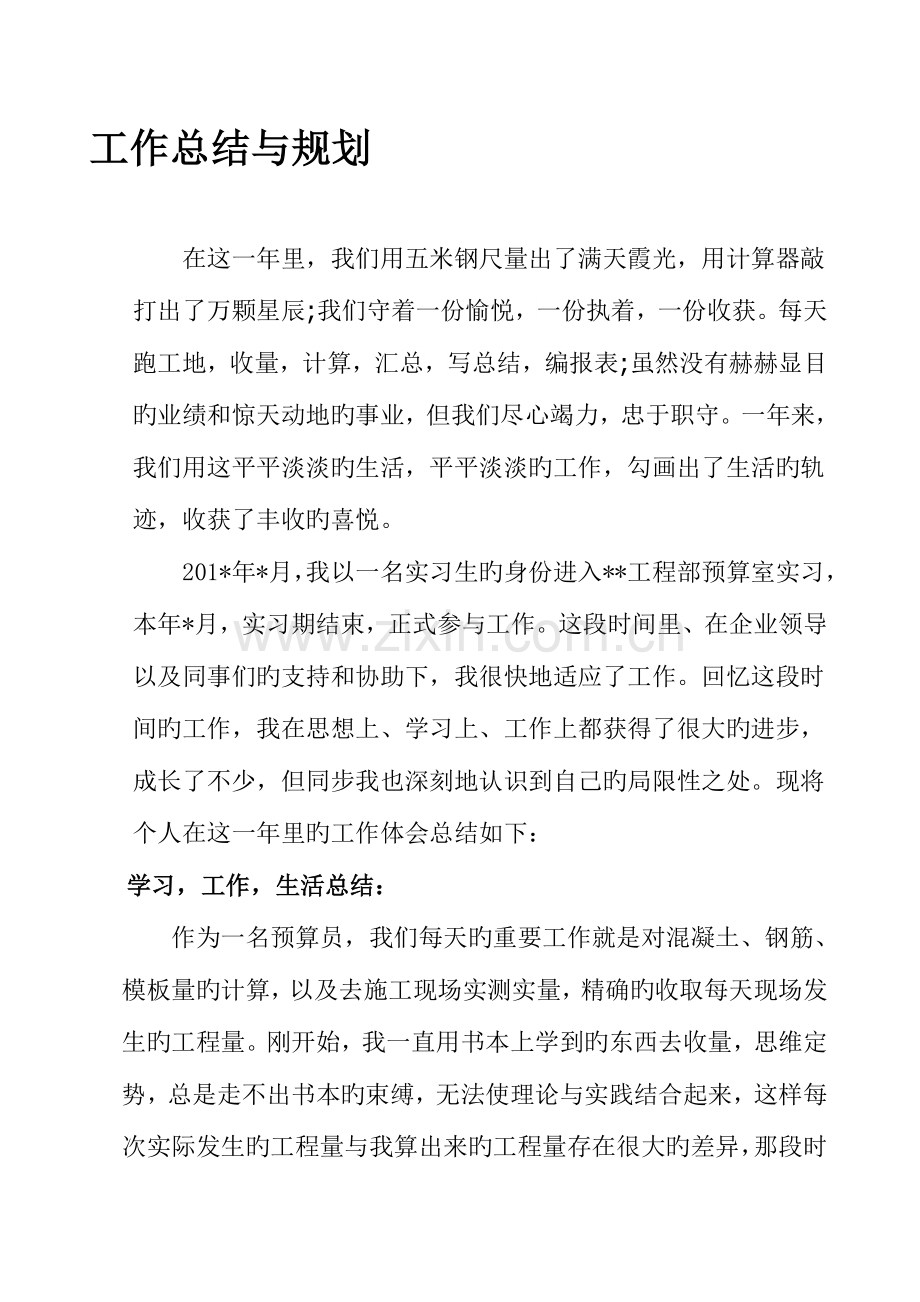 2023年预算员工作总结与规划.doc_第1页