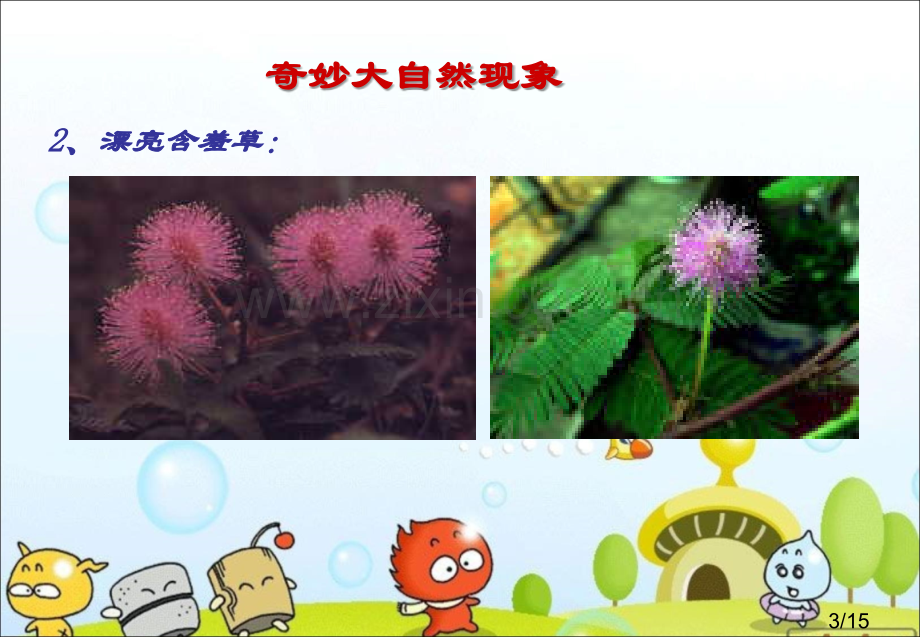 小学科学第一课-(1)省名师优质课赛课获奖课件市赛课百校联赛优质课一等奖课件.ppt_第3页