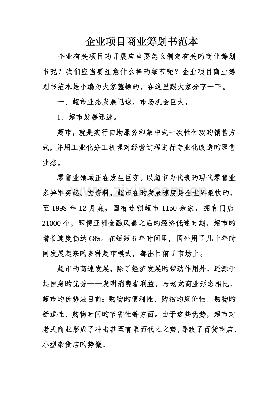 企业项目商业策划书范本.doc_第1页