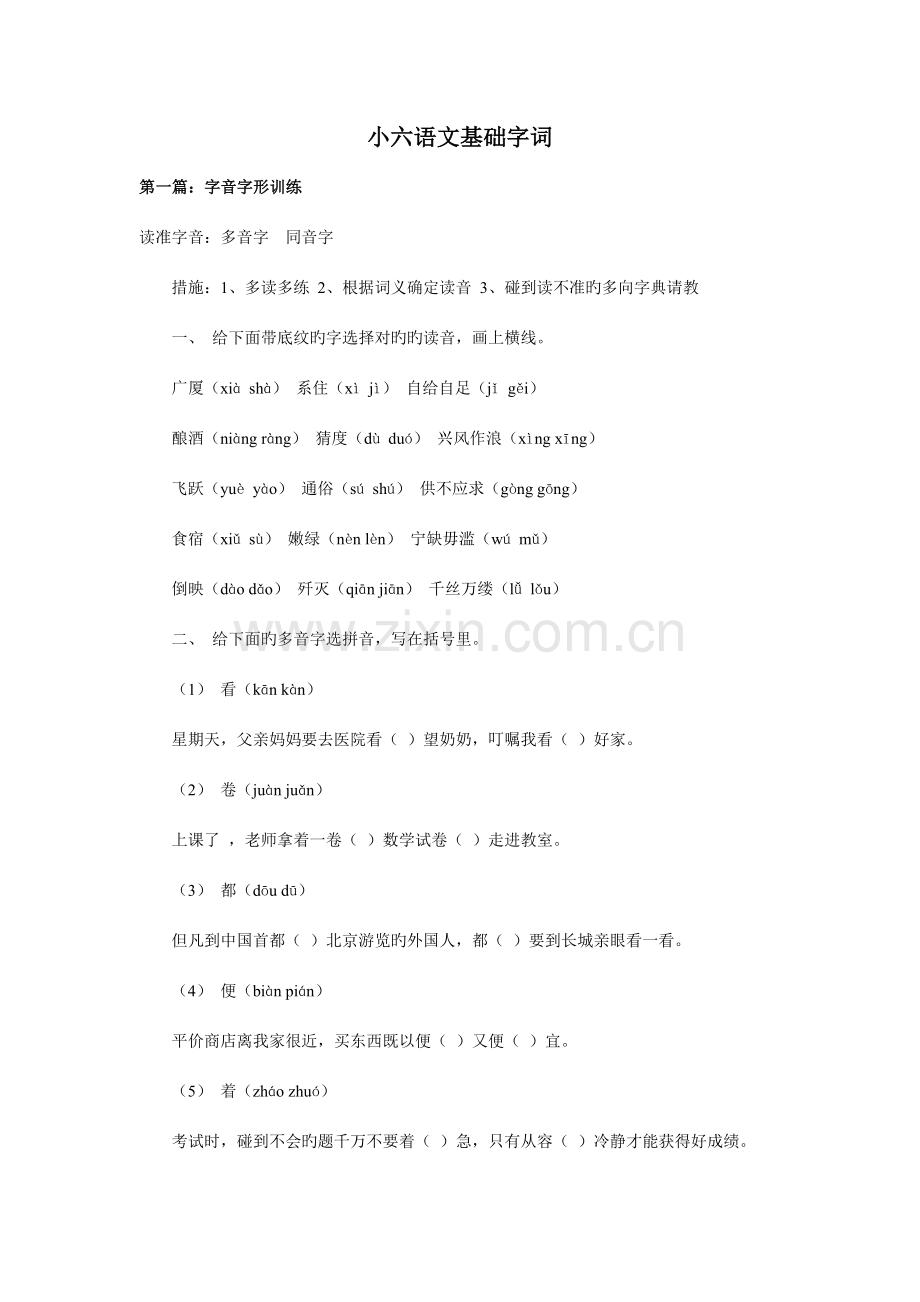 2023年小升初语文字词汇总复习.doc_第1页