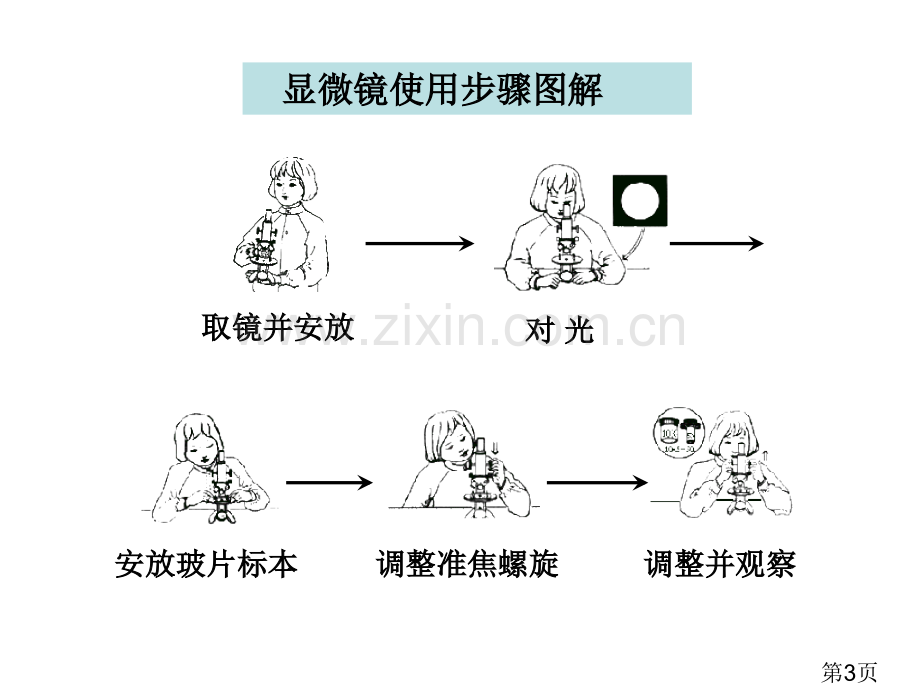 教科版六年级下册第一单元第6课省名师优质课获奖课件市赛课一等奖课件.ppt_第3页