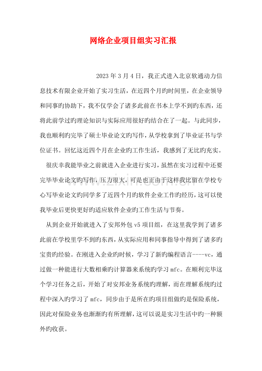 网络公司项目组实习报告.doc_第1页