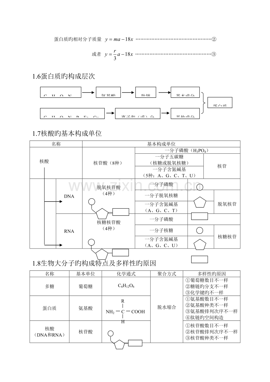 2023年人教版高中生物知识点总结.doc_第3页