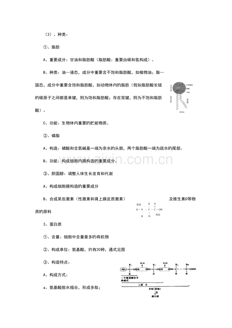 2023年上海高中生命科学知识点汇总.doc_第3页