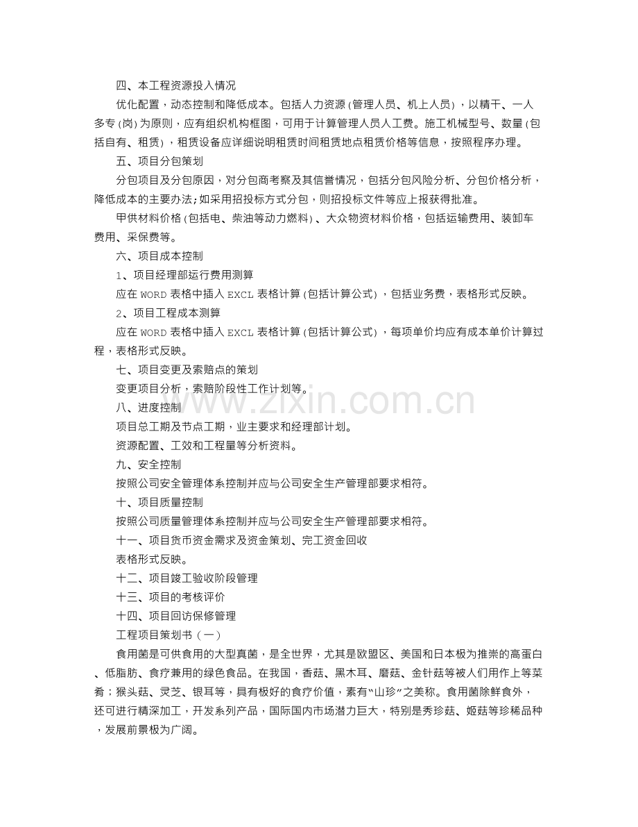 工程项目策划书格式.doc_第2页