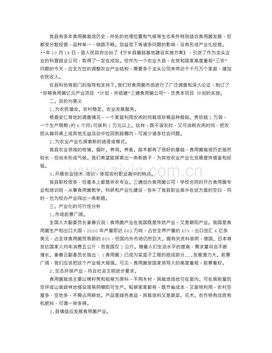 工程项目策划书格式.doc_第3页