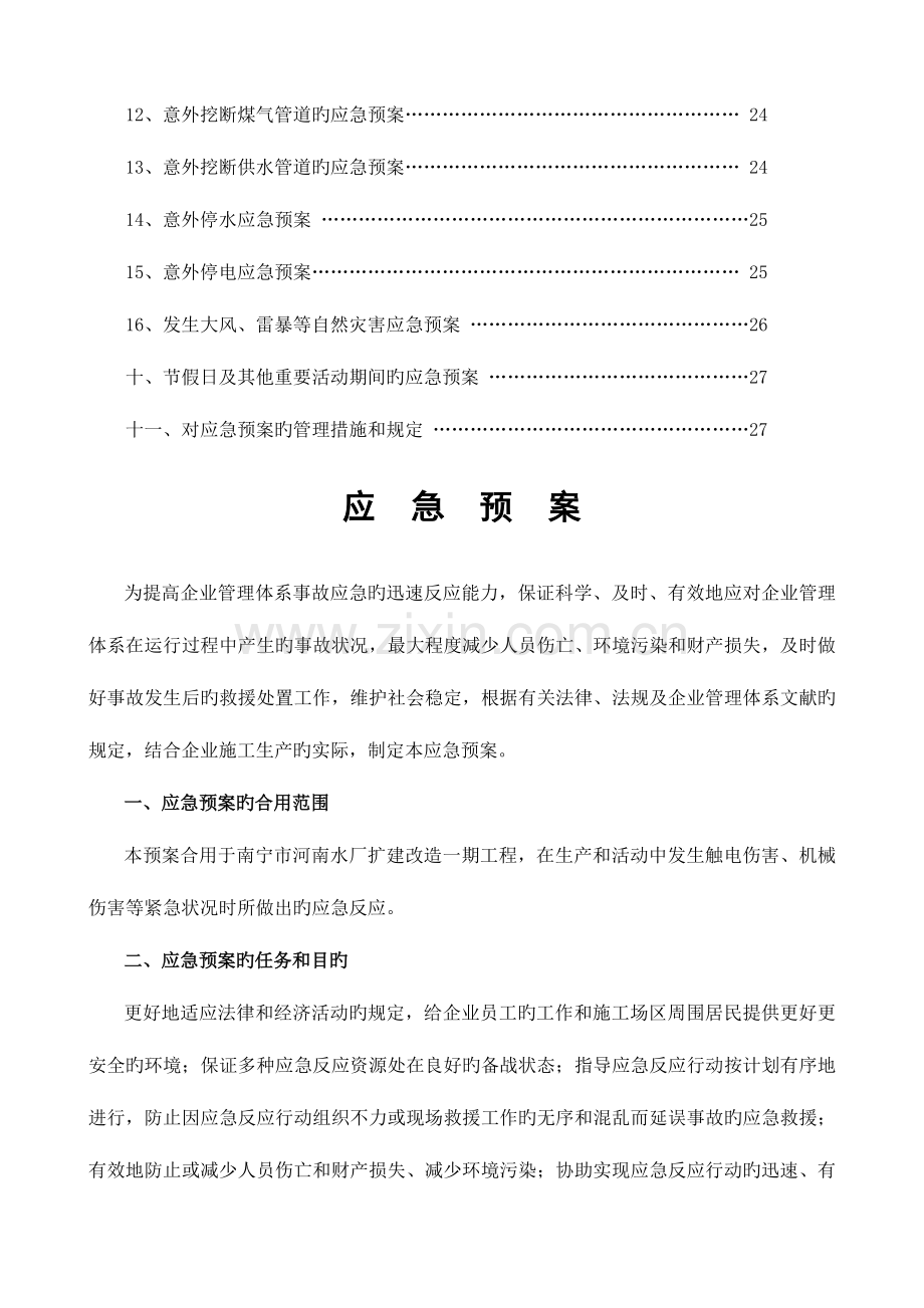 2023年项目应急预案.doc_第3页