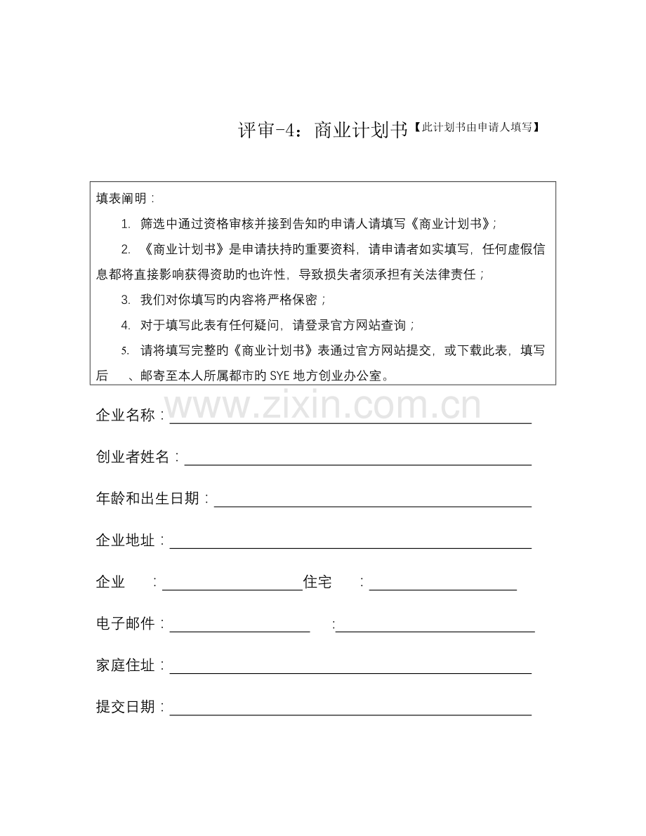 SYE商业计划书.docx_第1页