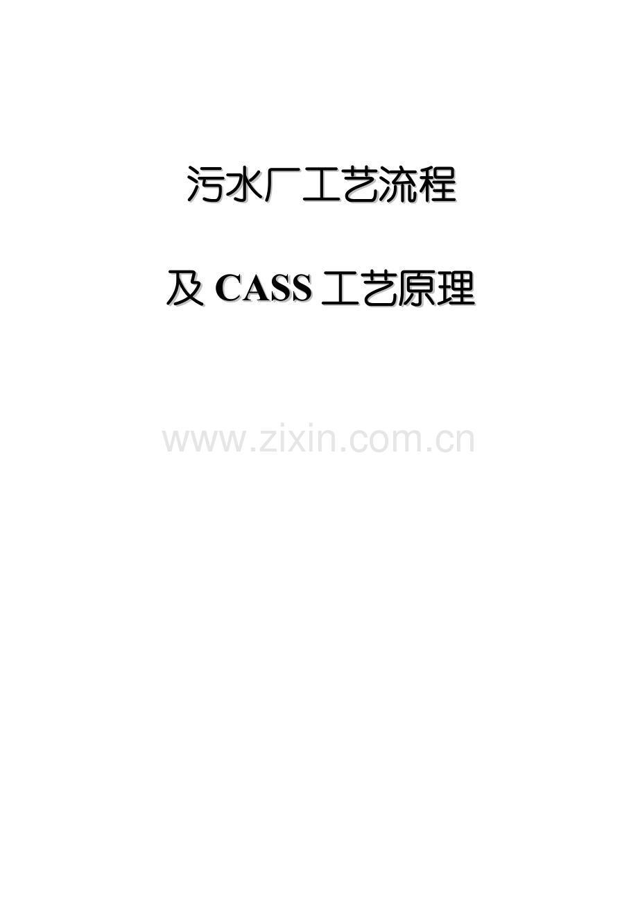 工艺流程及CASS工艺原理.doc_第1页