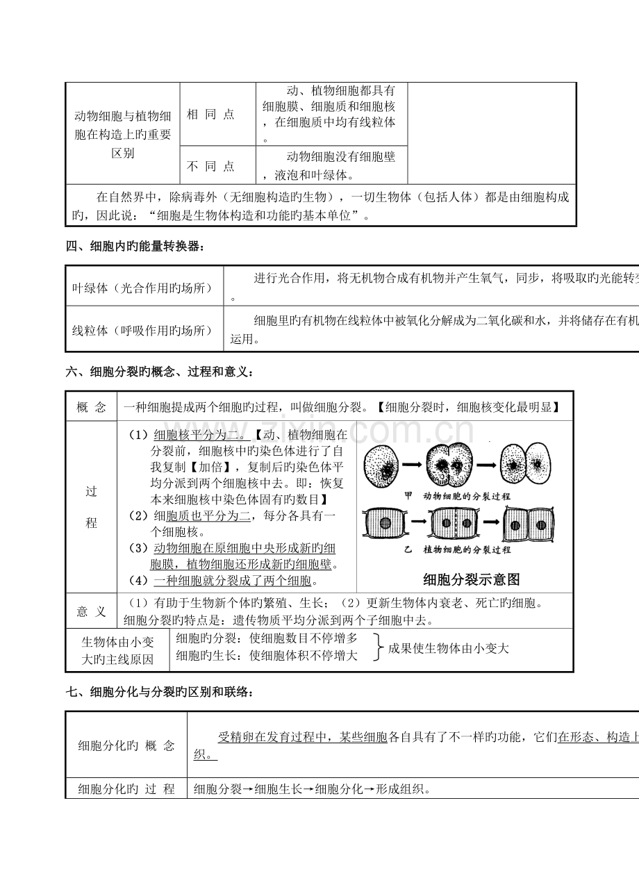 2023年初中生物中考复习资料知识点归纳.doc_第3页