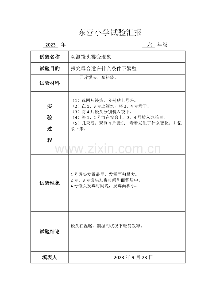 2023年苏教版科学六年级上册实验报告单.docx_第3页