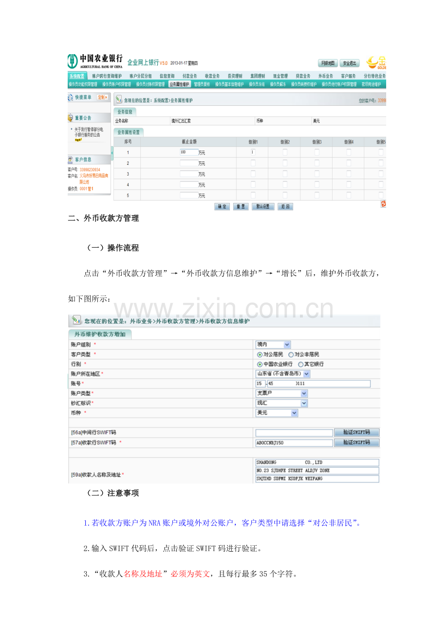 农行企业网银外币汇款功能客户端操作手册汇总.doc_第2页