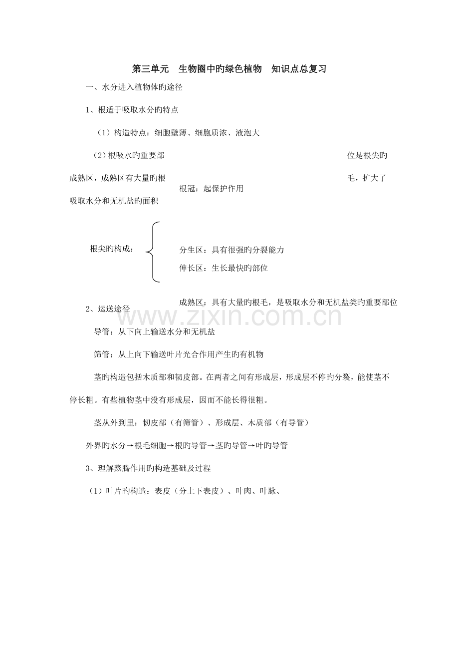 2023年第三单元生物圈中的绿色植物知识点总复习学生用.doc_第1页