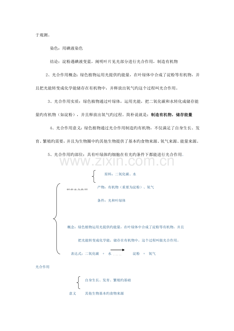 2023年第三单元生物圈中的绿色植物知识点总复习学生用.doc_第3页