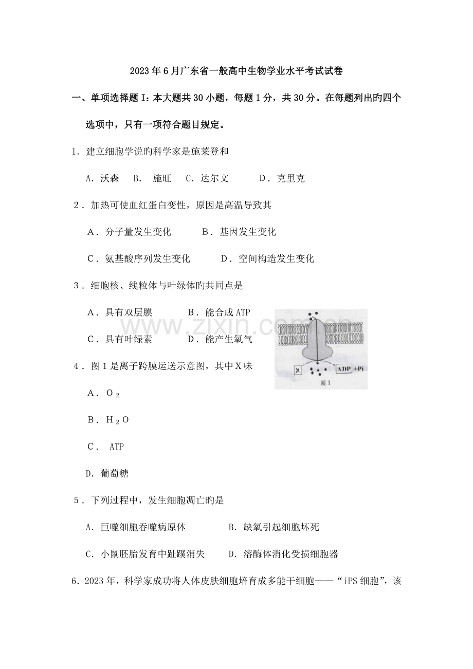 2023年广东学业水平测试生物试题含答案.doc_第1页