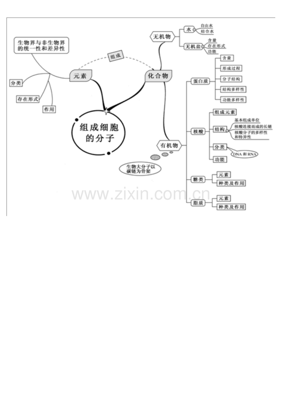 2023年高中生物全套思维导图精编精校版汇编.doc_第1页