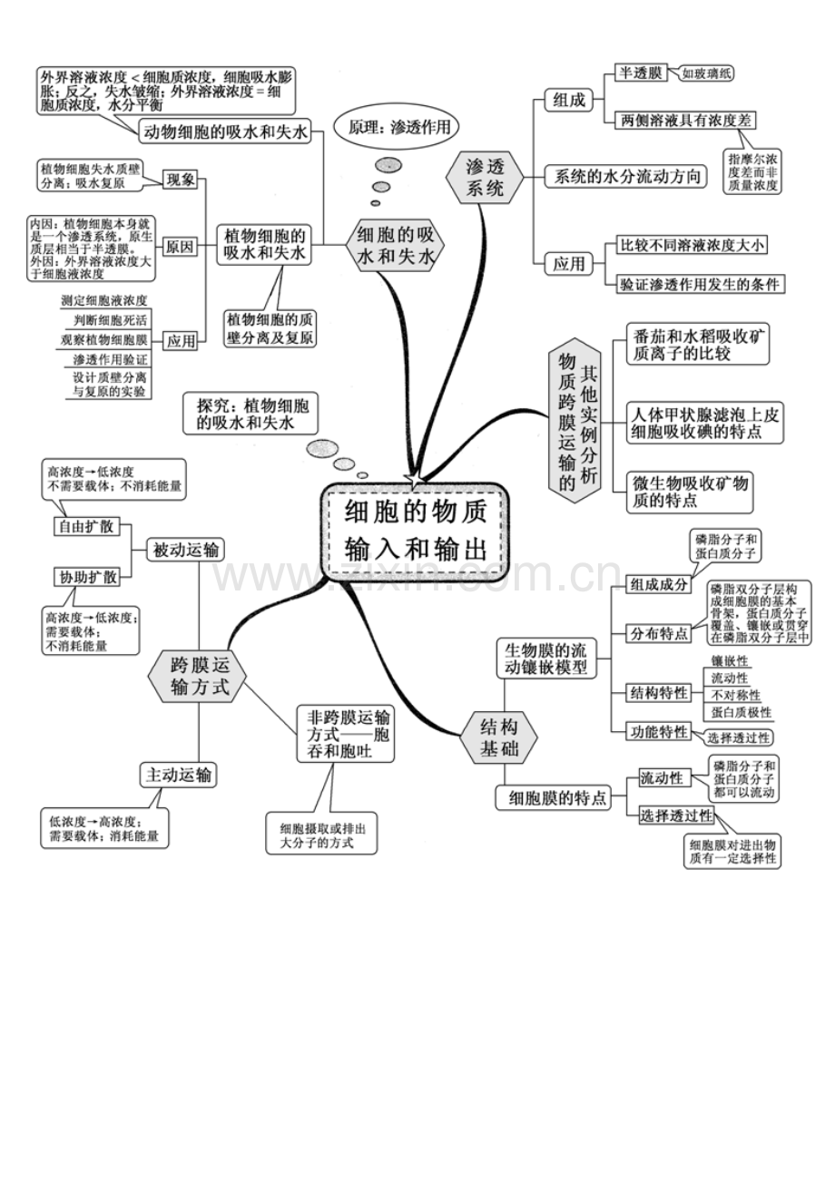 2023年高中生物全套思维导图精编精校版汇编.doc_第3页