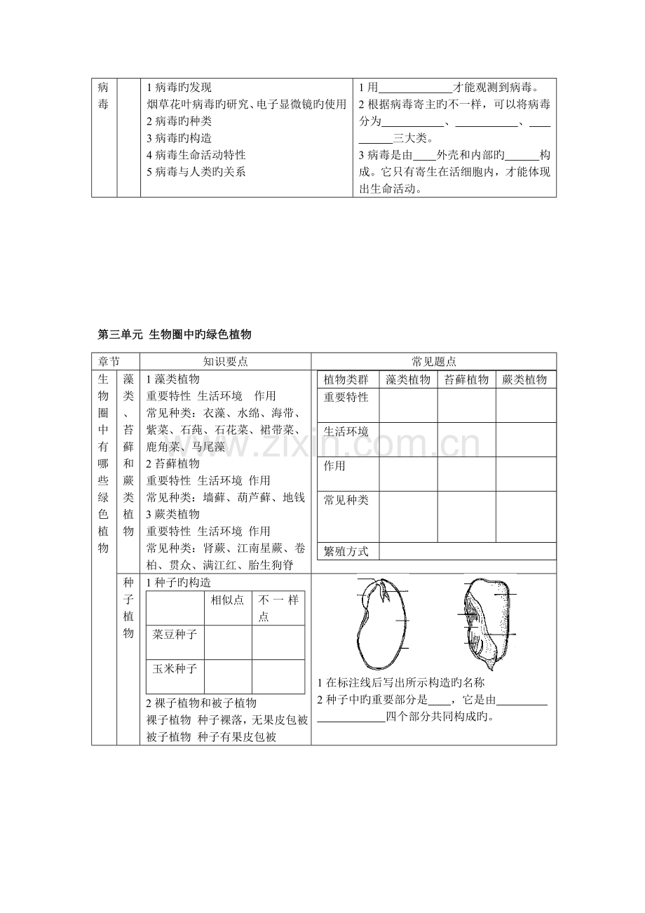 2023年初中生物总复习全套新编教案兼学案.doc_第3页