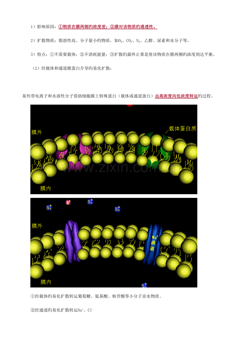 2023年卫生类主管药师考试基础知识生理学.doc_第2页