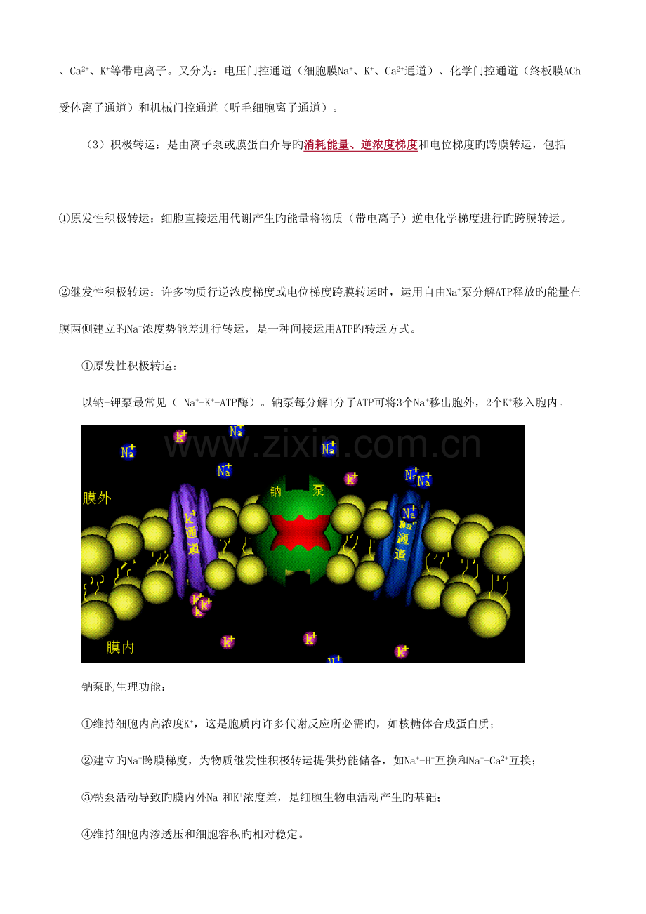 2023年卫生类主管药师考试基础知识生理学.doc_第3页